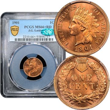 1901 Indian Cent (1c) Laidacker Collection Composite Image