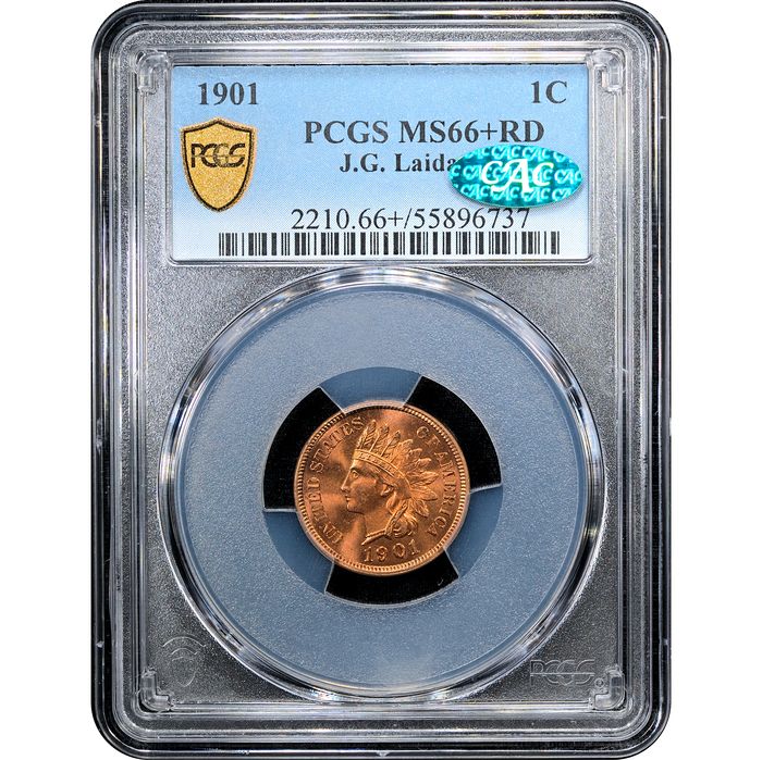 1901 Indian Cent (1c) Laidacker Collection Obverse Slab Image