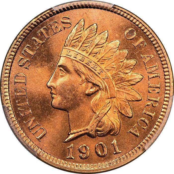1901 Indian Cent (1c) Laidacker Collection Obverse Image