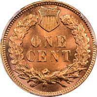 1901 Indian Cent (1c) Laidacker Collection Reverse Image