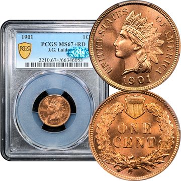 1901 Indian Cent (1c) Laidacker Collection Composite Image