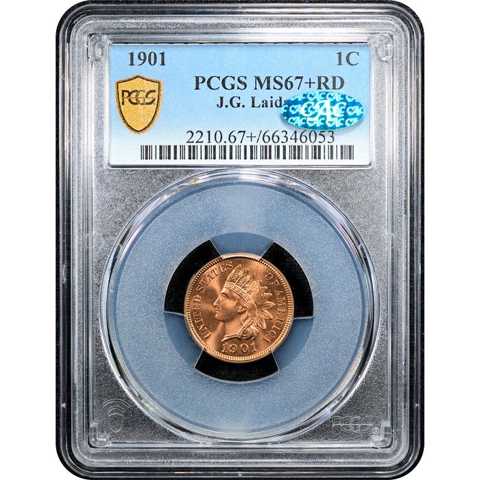 1901 Indian Cent (1c) Laidacker Collection Obverse Slab Image