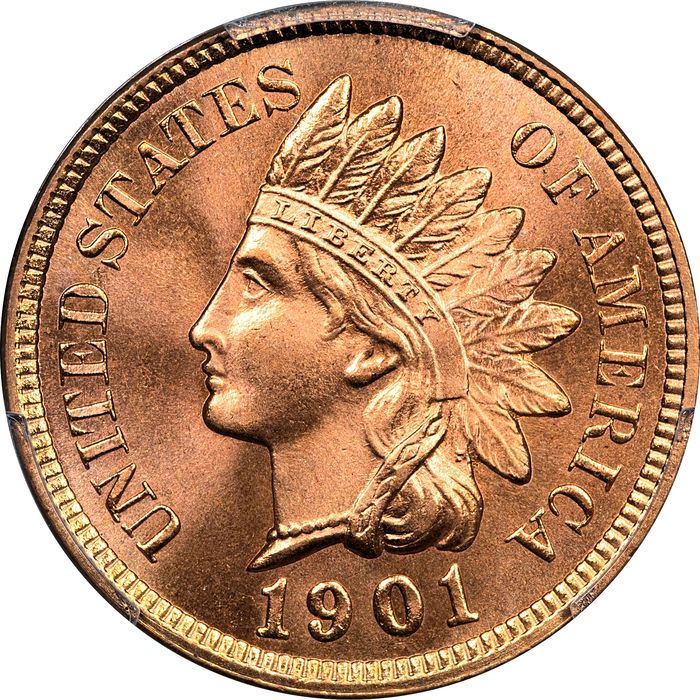 1901 Indian Cent (1c) Laidacker Collection Obverse Image