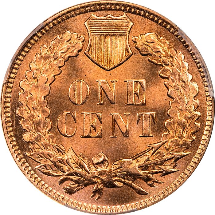 1901 Indian Cent (1c) Laidacker Collection Reverse Image