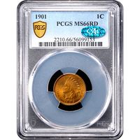 1901 Indian Cent (1c) Obverse Image