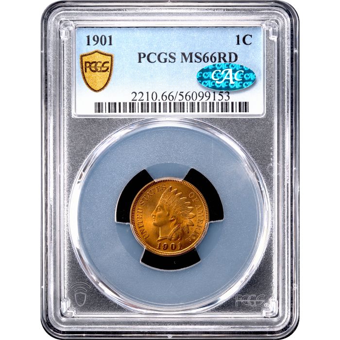 1901 Indian Cent (1c) Obverse Image