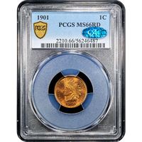 1901 Indian Cent (1c) Obverse Image
