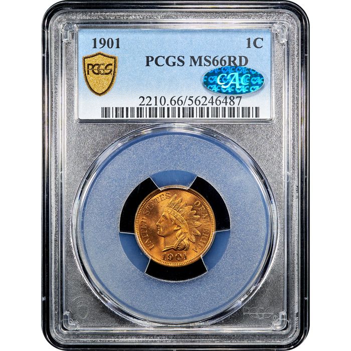 1901 Indian Cent (1c) Obverse Image
