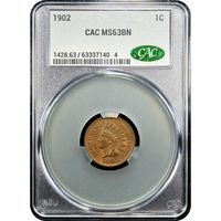 1902 Indian Cent (1c) Obverse Image