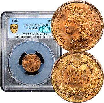 1902 Indian Cent (1c) Laidacker Collection Composite Image