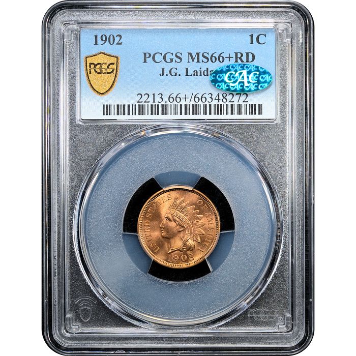 1902 Indian Cent (1c) Laidacker Collection Obverse Slab Image
