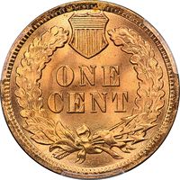1902 Indian Cent (1c) Laidacker Collection Reverse Image