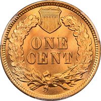 1902 Indian Cent (1c) Laidacker Collection Reverse Image