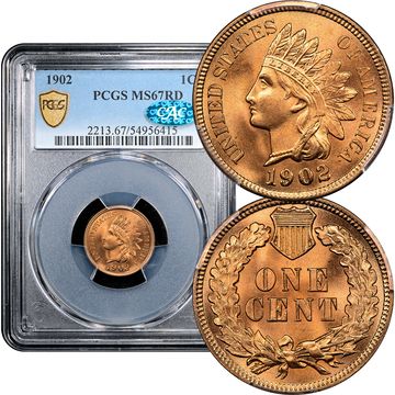 1902 Indian Cent (1c) Laidacker Collection Composite Image