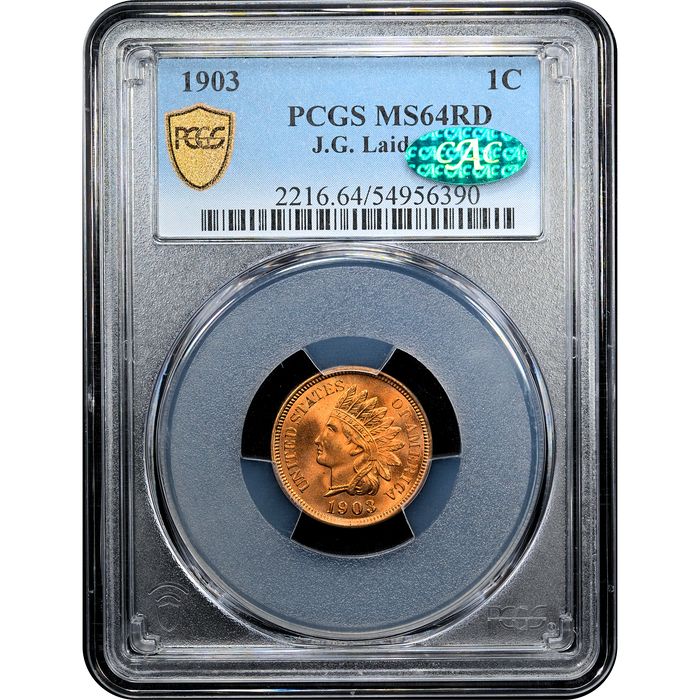 1903 Indian Cent (1c) Laidacker Collection Obverse Slab Image