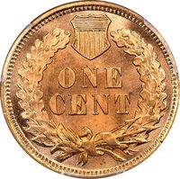 1903 Indian Cent (1c) Laidacker Collection Reverse Image