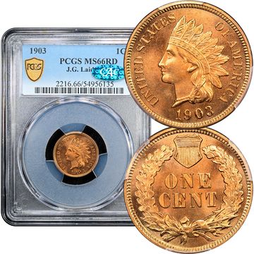1903 Indian Cent (1c) Laidacker Collection Composite Image