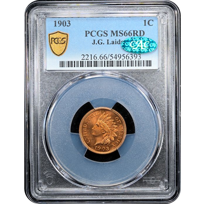1903 Indian Cent (1c) Laidacker Collection Obverse Slab Image