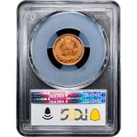 1903 Indian Cent (1c) Laidacker Collection Reverse Slab Image