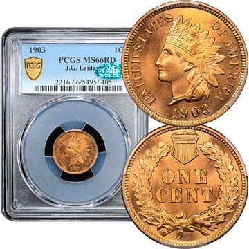 1903 Indian Cent (1c) Laidacker Composite Image