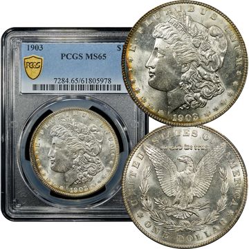 1903 Morgan Dollar ($1) Composite Image