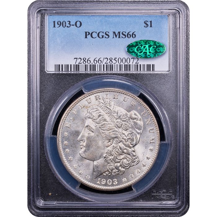 1903-O Morgan Dollar ($1) Obverse Slab Image
