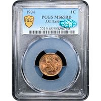 1904 Indian Cent (1c) Laidacker Collection Obverse Slab Image