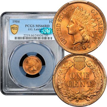 1904 Indian Cent (1c) Laidacker Collection Composite Image