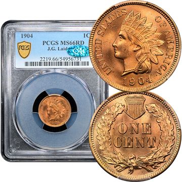 1904 Indian Cent (1c) Laidacker Collection Composite Image