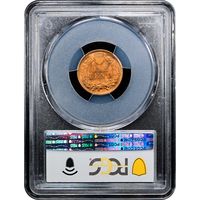 1904 Indian Cent (1c) Laidacker Collection Reverse Slab Image