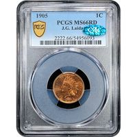 1905 Indian Cent (1c) Laidacker Collection Obverse Slab Image