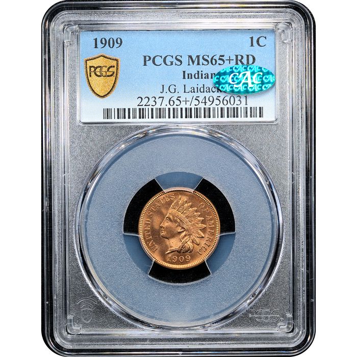 1909 Indian Cent (1c) Laidacker Collection Obverse Slab Image