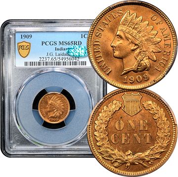 1909 Indian Cent (1c) Laidacker Collection Composite Image