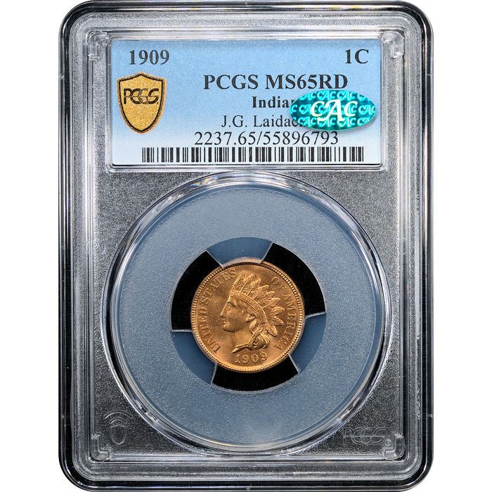 1909 Indian Cent (1c) Laidacker Collection Obverse Slab Image