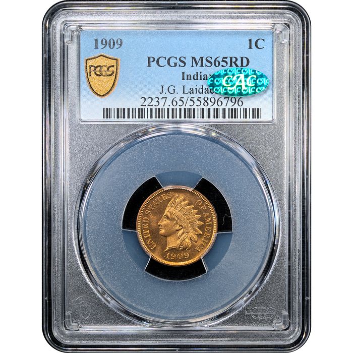 1909 Indian Cent (1c) Laidacker Collection Obverse Slab Image