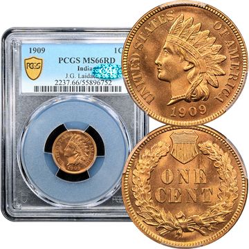 1909 Indian Cent (1c) Laidacker Collection Composite Image