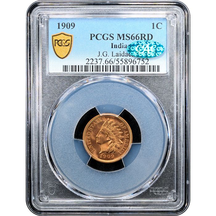 1909 Indian Cent (1c) Laidacker Collection Obverse Slab Image