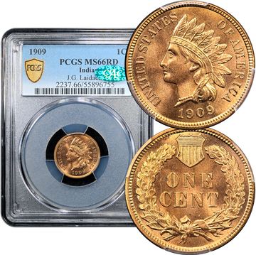 1909 Indian Cent (1c) Laidacker Collection Composite Image