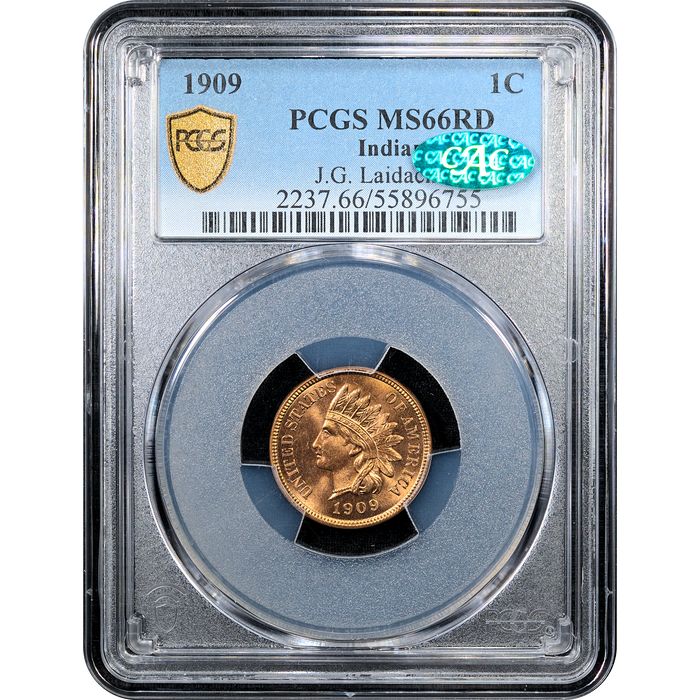 1909 Indian Cent (1c) Laidacker Collection Obverse Slab Image
