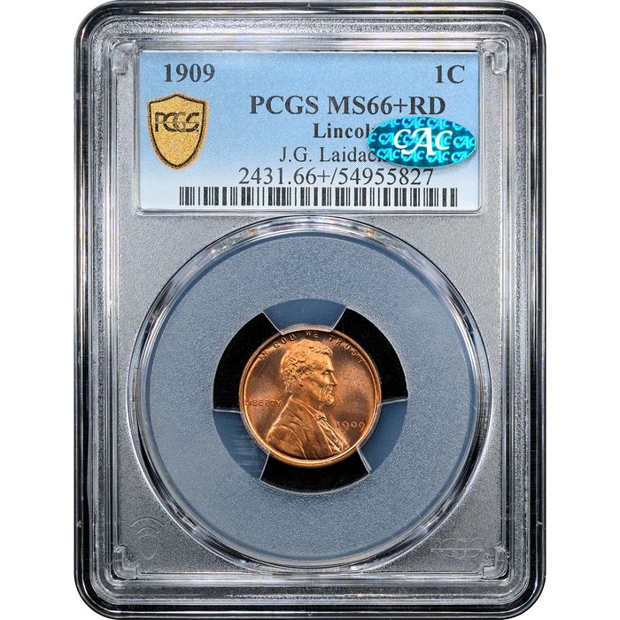 1909 Lincoln Cent (1c) Laidacker Collection Obverse Slab Image