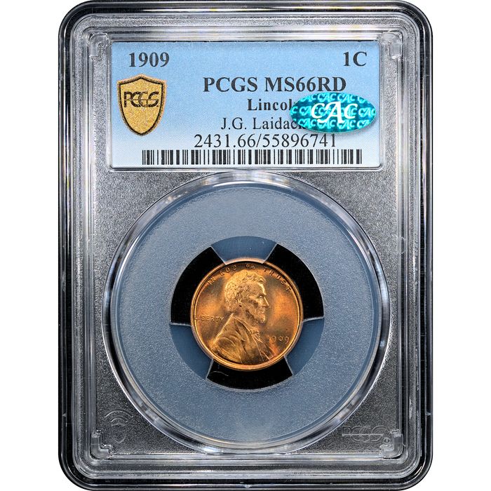 1909 Lincoln Cent (1c) Laidacker Collection Obverse Slab Image