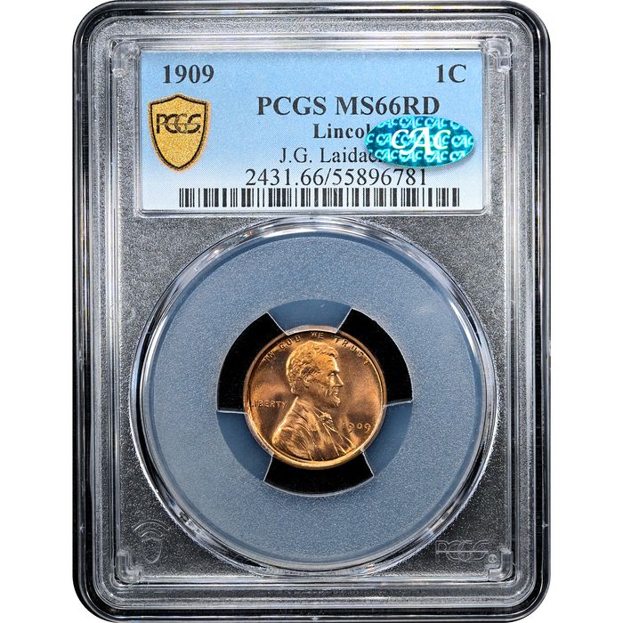 1909 Lincoln Cent (1c) Laidacker Collection Obverse Slab Image