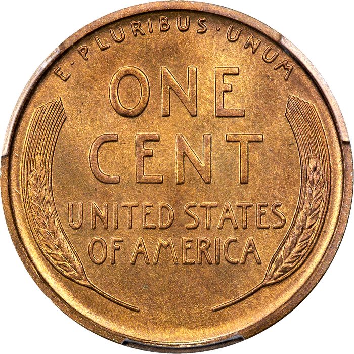 1909 Lincoln Cent (1c) Photo 4