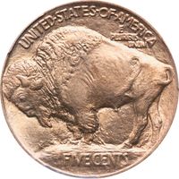 1913 Type 1 Buffalo Nickel (5c) Photo 4