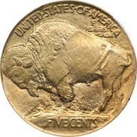 1913 Type 1 Buffalo Nickel (5c) Photo 4