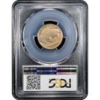 1915-D Buffalo Nickel (5c) Reverse Slab Image