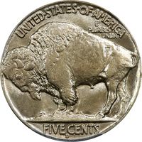 1915-D Buffalo Nickel (5c) Photo 4