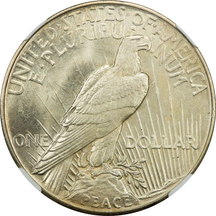 1921 High Relief Peace Dollar ($1) Photo 4