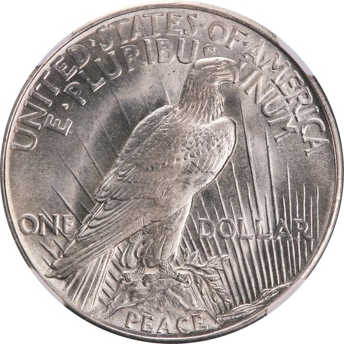 1921 High Relief Peace Dollar ($1) Photo 4