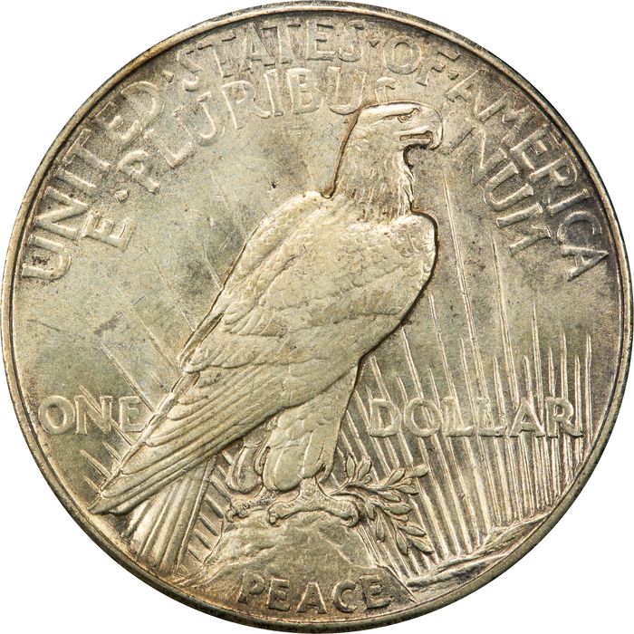 1921 High Relief Peace Dollar ($1) Photo 4